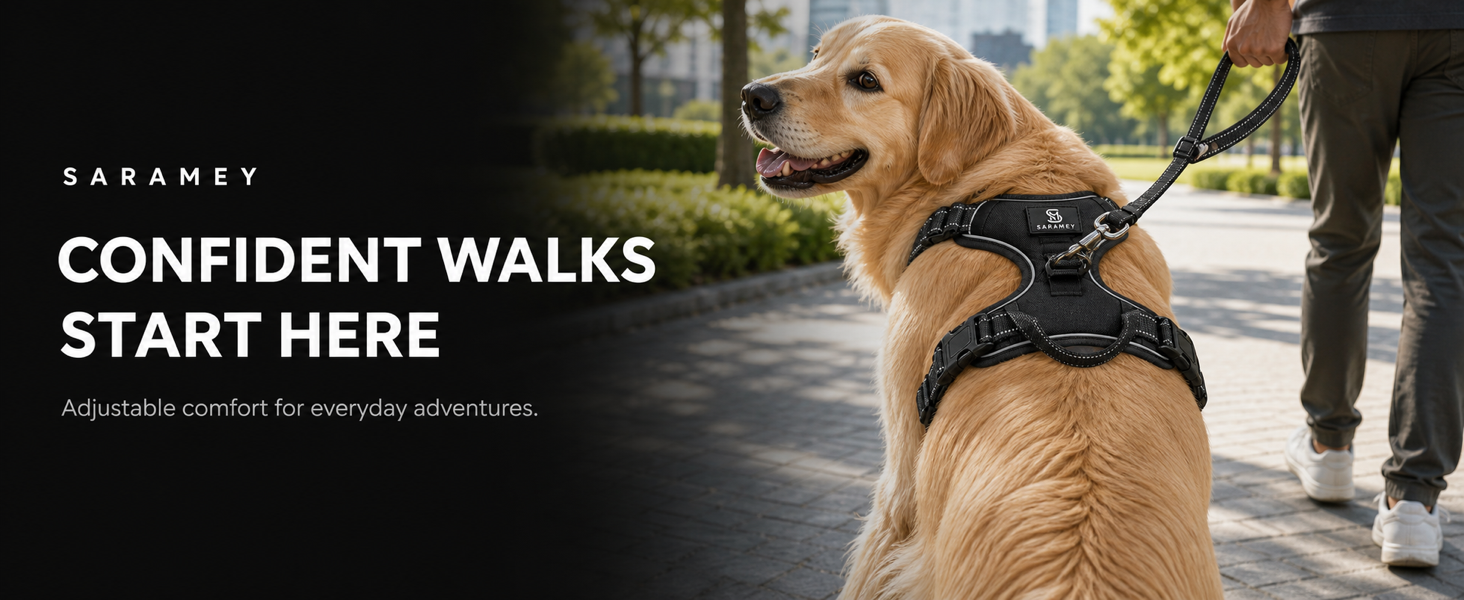 Golden Retriever wearing the black SARAMEY Everyday Harness on an everyday city walk